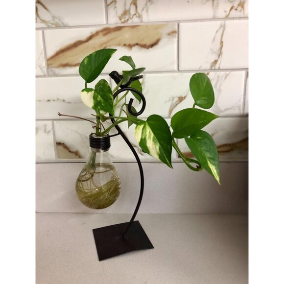 New Desktop Glass Planter Vase, Modern Bulb Holder for Home & Plant Decor - Picture 11 of 11